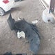 5NPE24AF6FH157053 2015 Hyundai Sonata Se auction photo thumbnail 12