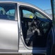 2T1BURHE0KC209748 2019 Toyota Corolla Xle auction photo thumbnail 5
