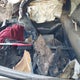 JF2GTANC9KH367936 2019 Subaru Crosstrek 2.0I Limited auction photo thumbnail 8