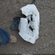 1GCGTBEN1H1262038 2017 Chevrolet Colorado Wt auction photo thumbnail 12