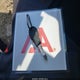 2B3CJ4DV4AH265171 2010 Dodge Challenger Se auction photo thumbnail 11