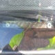 1HGCM56485L003552 2005 Honda Accord 2.4 Lx auction photo thumbnail 9