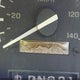 1FTDF15Y5PNA80820 1993 Ford F150 auction photo thumbnail 7