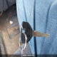 1B3XA46K4LF740648 1990 Dodge Spirit auction photo thumbnail 11