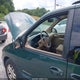 2B4GP45G1XR191870 1999 Dodge Caravan Se auction photo thumbnail 12