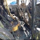 JTERU5JR3R6294229 2024 Toyota 4Runner Trd Off Road Premium auction photo thumbnail 8