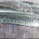 1GCDT19X238233852 2003 Chevrolet S-10 Ls auction photo thumbnail 9