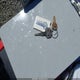 JN6ND06Y7GW103461 1986 Nissan 720 King Cab auction photo thumbnail 11