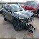 1C4PJLCSXHW645208 2017 Jeep Cherokee Latitude Fwd auction photo thumbnail 1