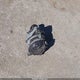5TDZA3EH6DS037657 2013 Toyota Highlander auction photo thumbnail 12