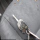 3FADP4EJ2FM219737 2015 Ford Fiesta Se auction photo thumbnail 11