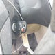 1FADP3F22EL217634 2014 Ford Focus Se auction photo thumbnail 11