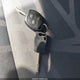 NM0LS7BN6DT176593 2013 Ford Transit Connect Xlt auction photo thumbnail 11