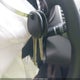 5NPDH4AE3EH457004 2014 Hyundai Elantra Se auction photo thumbnail 11