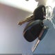 1GKUKEEF9AR188802 2010 GMC Yukon Denali auction photo thumbnail 11