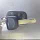 5J6YH18666L003495 2006 Honda Element Ex auction photo thumbnail 11