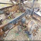 1XKDD49X0CJ322315 2012 Kenworth Construction T800 auction photo thumbnail 6