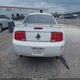 1ZVFT82H565183097 2006 Ford Mustang Gt auction photo thumbnail 16
