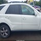 4JGBB86E89A525198 2009 Mercedes-Benz Ml 350 4Matic auction photo thumbnail 14