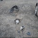 4T1BE46K09U395812 2009 Toyota Camry Le auction photo thumbnail 12