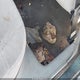 3VWRA81H6TM074853 1996 Volkswagen Jetta Gl auction photo thumbnail 6