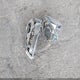 5XYP34HC9NG229998 2022 Kia Telluride Ex auction photo thumbnail 12