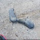 2C3CDXHG6GH214254 2016 Dodge Charger Sxt auction photo thumbnail 12