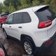 1C4PJLAB6HW663420 2017 Jeep Cherokee Sport Fwd auction photo thumbnail 15