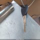 2HKRL1868XH519775 1999 Honda Odyssey Ex auction photo thumbnail 11