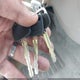1NXBR12E8WZ073000 1998 Toyota Corolla Ce auction photo thumbnail 11