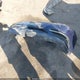 1C3CCBBG8EN232208 2014 Chrysler 200 Touring auction photo thumbnail 12