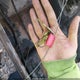 1JCCM87E6DT054634 1983 Jeep Jeep Cj7 auction photo thumbnail 11