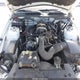 1ZVHT84N895108264 2009 Ford Mustang V6 auction photo thumbnail 10