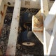 00000000000002935 1994 Equipment Steel Gse Lmi4015 auction photo thumbnail 5