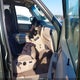 1FMPU17LX3LB02428 2003 Ford Expedition Eddie Bauer auction photo thumbnail 5