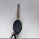 ZDMMAMDT9RB008534 2024 Ducati Monster auction photo thumbnail 11