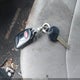 5NPD84LF9JH229265 2018 Hyundai Elantra Sel auction photo thumbnail 11
