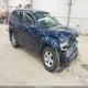 JS3TD0D61D4100463 2013 Suzuki Grand Vitara Premium auction photo thumbnail 1