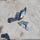 5YFS4MCE7RP204633 2024 Toyota Corolla Se auction photo thumbnail 12