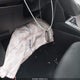 5NPD84LFXHH133462 2017 Hyundai Elantra Value Edition auction photo thumbnail 11