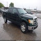 1FTEW1CMXDFA16931 2013 Ford F-150 Xlt auction photo thumbnail 1