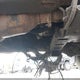 3D6WD76L49G553097 2009 Dodge Ram 5500 Hd Chassis St/Slt auction photo thumbnail 13