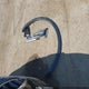 WA1BAAFY7M2066946 2021 Audi Q5 Premium Plus 45 Tfsi Quattro S Tronic auction photo thumbnail 12