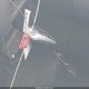 5NMJE3DE7RH305618 2024 Hyundai Tucson Limited auction photo thumbnail 11