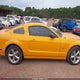 1ZVHT82HX85110366 2008 Ford Mustang Gt Deluxe/Gt Premium auction photo thumbnail 12