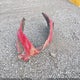 2HGFG3B86EH521352 2014 Honda Civic Ex auction photo thumbnail 12