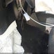 1FMSK7DH3LGA38700 2020 Ford Explorer Xlt auction photo thumbnail 11