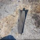 2G1WG5E35C1218586 2012 Chevrolet Impala Lt auction photo thumbnail 12