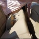 1HGCS1B8XAA005879 2010 Honda Accord 2.4 Ex-L auction photo thumbnail 8