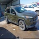 1C4PJMCB8HW503655 2017 Jeep Cherokee 75Th Anniversary Edition 4X4 auction photo thumbnail 1